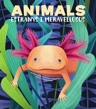 ANIMALS EXTRANYS I MERAVELLOSOS (VVKIDS) | 9788468270685 | BANFI, CRISTINA | Llibreria Aqualata | Comprar llibres en català i castellà online | Comprar llibres Igualada