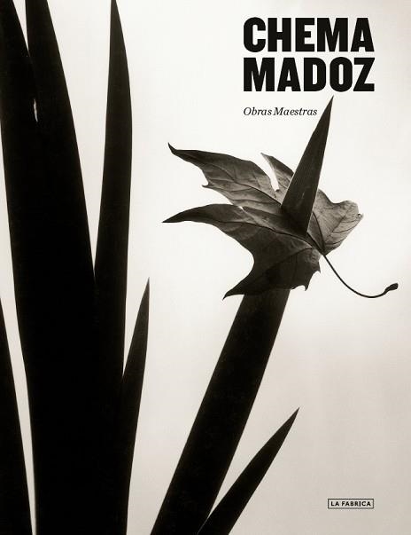 CHEMA MADOZ | 9788417769673 | MADOZ, CHEMA | Llibreria Aqualata | Comprar llibres en català i castellà online | Comprar llibres Igualada