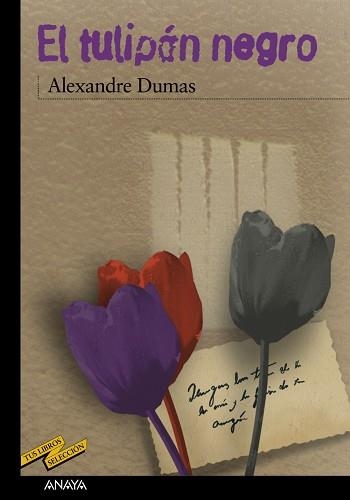 TULIPÁN NEGRO, EL | 9788420712680 | DUMAS, ALEXANDRE | Llibreria Aqualata | Comprar llibres en català i castellà online | Comprar llibres Igualada