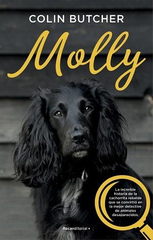 MOLLY | 9788417541033 | BUTCHER, COLIN | Llibreria Aqualata | Comprar llibres en català i castellà online | Comprar llibres Igualada