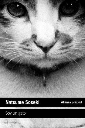 SOY UN GATO | 9788413620718 | SOSEKI, NATSUME | Llibreria Aqualata | Comprar llibres en català i castellà online | Comprar llibres Igualada