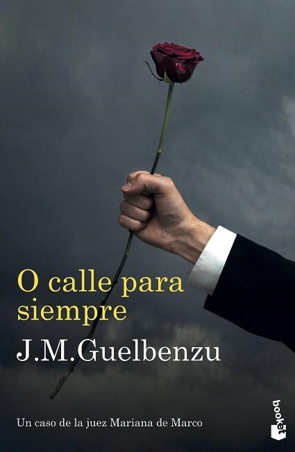 O CALLE PARA SIEMPRE | 9788423357833 | GUELBENZU, J. M. | Llibreria Aqualata | Comprar llibres en català i castellà online | Comprar llibres Igualada