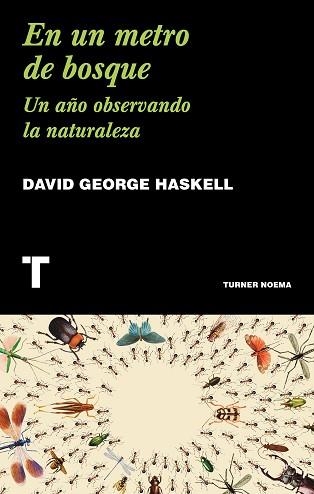 EN UN METRO DE BOSQUE | 9788417866211 | HASKELL, DAVID GEORGE | Llibreria Aqualata | Comprar llibres en català i castellà online | Comprar llibres Igualada