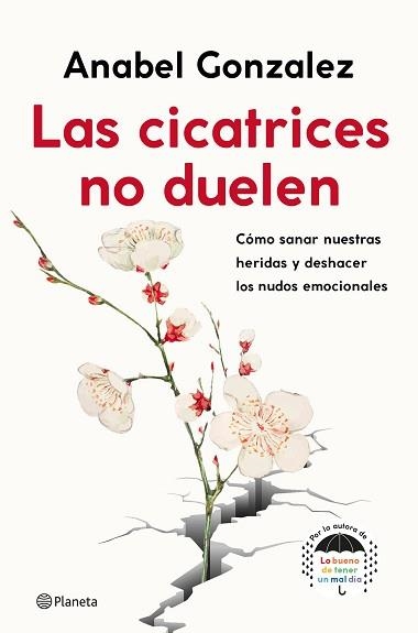 CICATRICES NO DUELEN, LAS | 9788408239093 | GONZALEZ, ANABEL | Llibreria Aqualata | Comprar llibres en català i castellà online | Comprar llibres Igualada