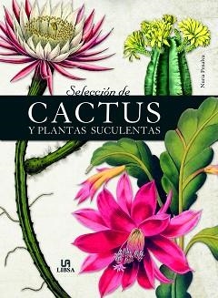 SELECCIÓN DE CACTUS Y PLANTAS SUCULENTAS | 9788466241021 | PENALVA, NURIA | Llibreria Aqualata | Comprar llibres en català i castellà online | Comprar llibres Igualada