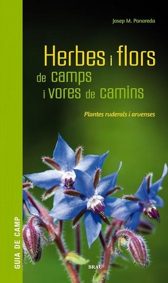 HERBES I FLORS DE CAMPS I VORES DE CAMINS | 9788418096082 | PANAREDA CLOPÉS, JOSEP M | Llibreria Aqualata | Comprar llibres en català i castellà online | Comprar llibres Igualada