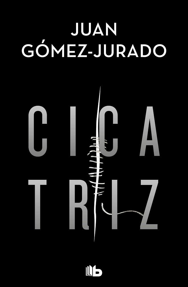 CICATRIZ | 9788413143231 | GÓMEZ-JURADO, JUAN | Llibreria Aqualata | Comprar llibres en català i castellà online | Comprar llibres Igualada