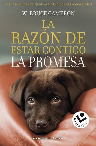 RAZÓN DE ESTAR CONTIGO, LA. LA PROMESA | 9788417821432 | CAMERON, W. BRUCE | Llibreria Aqualata | Comprar llibres en català i castellà online | Comprar llibres Igualada