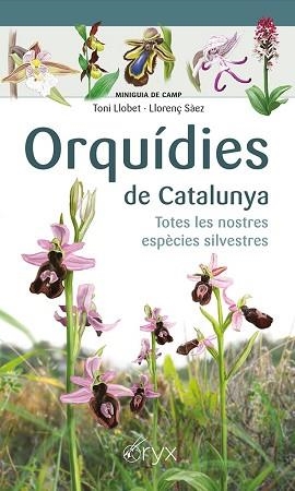 ORQUÍDIES DE CATALUNYA | 9788413560403 | SÀEZ GOÑALONS, LLORENÇ / LLOBET FRANÇOIS, TONI | Llibreria Aqualata | Comprar llibres en català i castellà online | Comprar llibres Igualada