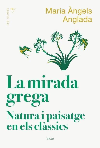 MIRADA GREGA, LA | 9788418096167 | ANGLADA I D'ABADAL, MARIA ÀNGELS | Llibreria Aqualata | Comprar llibres en català i castellà online | Comprar llibres Igualada