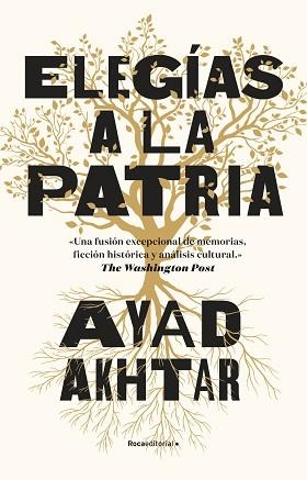 ELEGÍAS A LA PATRIA | 9788418417313 | AKHTAR, AYAD | Llibreria Aqualata | Comprar llibres en català i castellà online | Comprar llibres Igualada