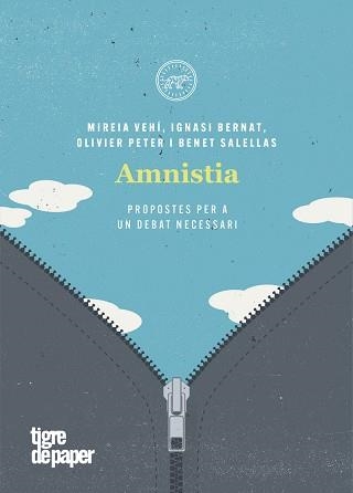 AMNISTIA, PROPOSTES PER A UN DEBAT NECESSARI | 9788418705021 | SALELLAS I VILAR BENET / VEHÍ MIREIA | Llibreria Aqualata | Comprar llibres en català i castellà online | Comprar llibres Igualada