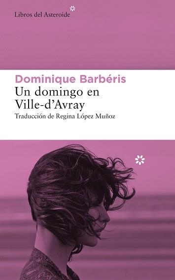 UN DOMINGO EN VILLE-D’AVRAY | 9788417977634 | BARBÉRIS, DOMINIQUE | Llibreria Aqualata | Comprar llibres en català i castellà online | Comprar llibres Igualada