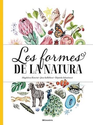 FORMES DE LA NATURA, LES | 9788413560434 | SEDLACKOVA, JANA / SEKANINOVA, STEPANKA | Llibreria Aqualata | Comprar libros en catalán y castellano online | Comprar libros Igualada