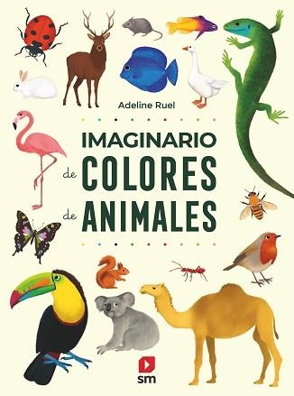 IMAGINARIO DE COLORES DE ANIMALES | 9788413188546 | RUEL, ADELINE | Llibreria Aqualata | Comprar llibres en català i castellà online | Comprar llibres Igualada