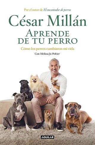 APRENDE DE TU PERRO | 9788403518445 | MILLÁN, CÉSAR | Llibreria Aqualata | Comprar llibres en català i castellà online | Comprar llibres Igualada