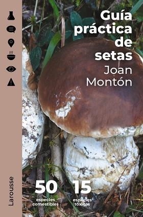 GUÍA PRÁCTICA DE SETAS | 9788418473845 | MONTÓN MARTÍNEZ, JOAN | Llibreria Aqualata | Comprar llibres en català i castellà online | Comprar llibres Igualada