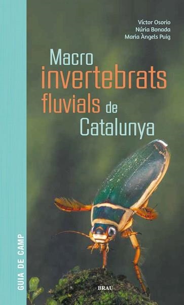 MACROINVERTEBRATS FLUVIALS DE CATALUNYA | 9788418096204 | OSORIO ÁLVAREZ, VÍCTOR / PUIG GARCÍA, M. ÁNGELES / BONADA CAPARRÓS, NÚRIA | Llibreria Aqualata | Comprar llibres en català i castellà online | Comprar llibres Igualada