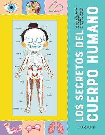 SECRETOS DEL CUERPO HUMANO, LOS | 9788418473210 | Llibreria Aqualata | Comprar llibres en català i castellà online | Comprar llibres Igualada