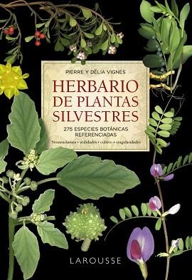 HERBARIO DE PLANTAS SILVESTRES | 9788418473999 | VIGNES, PIERRE / VIGNES, DÉLIA | Llibreria Aqualata | Comprar llibres en català i castellà online | Comprar llibres Igualada