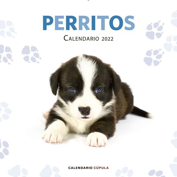 2022 CALENDARIO PERRITOS  | 9788448028701 | AA. VV. | Llibreria Aqualata | Comprar libros en catalán y castellano online | Comprar libros Igualada