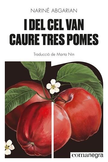 I DEL CEL VAN CAURE TRES POMES | 9788418857041 | ABGARIAN, NARINÉ | Llibreria Aqualata | Comprar llibres en català i castellà online | Comprar llibres Igualada