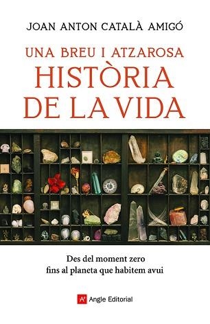 UNA BREU I ATZAROSA HISTÒRIA DE LA VIDA | 9788418197956 | CATALÀ AMIGÓ, JOAN ANTON | Llibreria Aqualata | Comprar llibres en català i castellà online | Comprar llibres Igualada