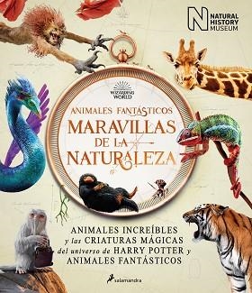 ANIMALES FANTÁSTICOS: MARAVILLAS DE LA NATURALEZA | 9788418637056 | THE NATIONAL HISTORY MUSEUM, | Llibreria Aqualata | Comprar llibres en català i castellà online | Comprar llibres Igualada