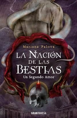 UN SEGUNDO AMOR | 9788412365535 | PALOVA, MARIANA | Llibreria Aqualata | Comprar llibres en català i castellà online | Comprar llibres Igualada