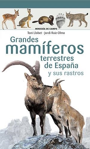 GRANDES MAMÍFEROS TERRESTRES DE ESPAÑA Y SUS RASTROS | 9788418735073 | LLOBET FRANÇOIS, TONI / RUIZ-OLMO , JORDI | Llibreria Aqualata | Comprar llibres en català i castellà online | Comprar llibres Igualada