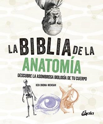 BIBLIA DE LA ANATOMÍA, LA | 9788484459521 | OKONA-MENSAH, KEN | Llibreria Aqualata | Comprar llibres en català i castellà online | Comprar llibres Igualada