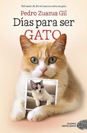 DÍAS PARA SER GATO | 9788417128524 | ZUAZUA GIL, PEDRO | Llibreria Aqualata | Comprar llibres en català i castellà online | Comprar llibres Igualada