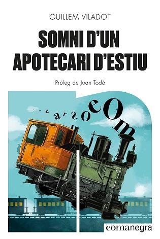 SOMNI D'UN APOTECARI D'ESTIU | 9788418857645 | VILADOT, GUILLEM | Llibreria Aqualata | Comprar llibres en català i castellà online | Comprar llibres Igualada