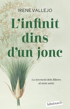 INFINIT DINS D'UN JONC, L' | 9788419107121 | VALLEJO, IRENE | Llibreria Aqualata | Comprar llibres en català i castellà online | Comprar llibres Igualada