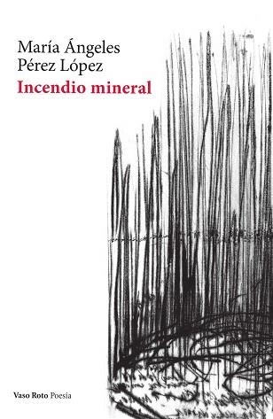 INCENDIO MINERAL | 9788412348750 | PÉREZ LÓPEZ, MARÍA ÁNGELES | Llibreria Aqualata | Comprar llibres en català i castellà online | Comprar llibres Igualada