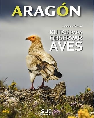 RUTAS PARA OBSERVAR AVES | 9788482167206 | VIÑUALES COBOS, EDUARDO | Llibreria Aqualata | Comprar llibres en català i castellà online | Comprar llibres Igualada