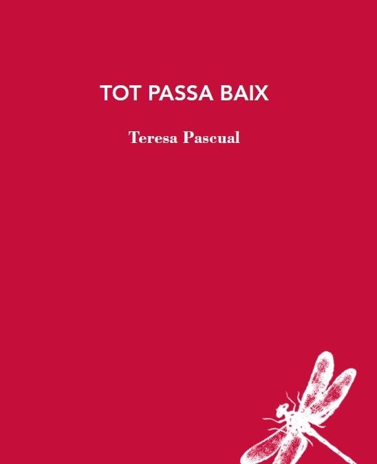 TOT PASSA BAIX | 9788412577426 | PASCUAL, TERESA | Llibreria Aqualata | Comprar libros en catalán y castellano online | Comprar libros Igualada