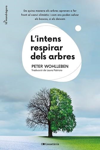 INTENS RESPIRAR DELS ARBRES, L' | 9788413562087 | WOHLLEBEN, PETER | Llibreria Aqualata | Comprar llibres en català i castellà online | Comprar llibres Igualada