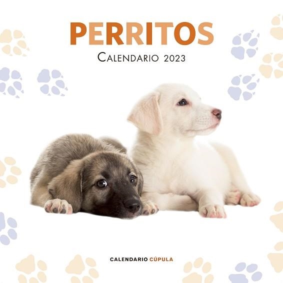 2023 CALENDARIO PERRITOS | 9788448029814 | AA. VV. | Llibreria Aqualata | Comprar llibres en català i castellà online | Comprar llibres Igualada