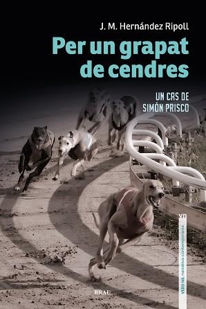 PER UN GRAPAT DE CENDRES | 9788418096440 | HERNÁNDEZ RIPOLL, JOSEP M | Llibreria Aqualata | Comprar llibres en català i castellà online | Comprar llibres Igualada