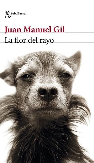 FLOR DEL RAYO, LA | 9788432241574 | GIL, JUAN MANUEL | Llibreria Aqualata | Comprar libros en catalán y castellano online | Comprar libros Igualada