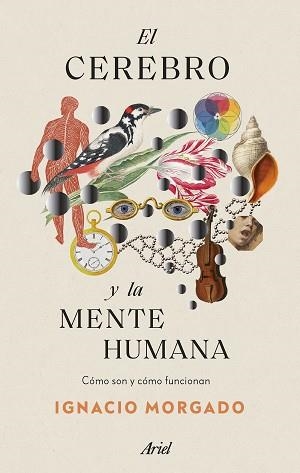 CEREBRO Y LA MENTE HUMANA, EL | 9788434435988 | MORGADO, IGNACIO | Llibreria Aqualata | Comprar llibres en català i castellà online | Comprar llibres Igualada