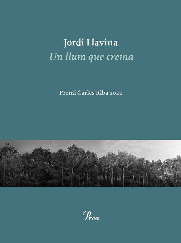 UN LLUM QUE CREMA | 9788475889979 | LLAVINA, JORDI | Llibreria Aqualata | Comprar llibres en català i castellà online | Comprar llibres Igualada