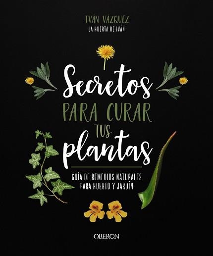 SECRETOS PARA CURAR TUS PLANTAS | 9788441547162 | VÁZQUEZ MUÑOZ, IVÁN | Llibreria Aqualata | Comprar llibres en català i castellà online | Comprar llibres Igualada