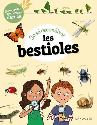 JO SÉ RECONÈIXER LES BESTIOLES | 9788419436283 | LEBRUN, SANDRA | Llibreria Aqualata | Comprar llibres en català i castellà online | Comprar llibres Igualada