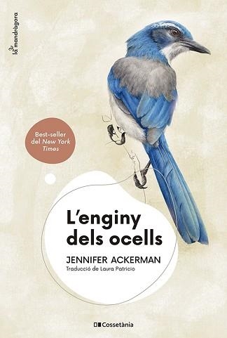 ENGINY DELS OCELLS, L' | 9788413562544 | ACKERMAN, JENNIFER | Llibreria Aqualata | Comprar llibres en català i castellà online | Comprar llibres Igualada