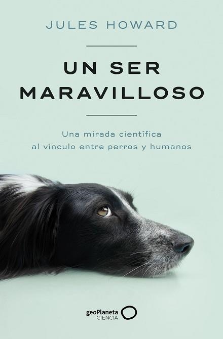 UN SER MARAVILLOSO | 9788408269328 | HOWARD, JULES | Llibreria Aqualata | Comprar llibres en català i castellà online | Comprar llibres Igualada