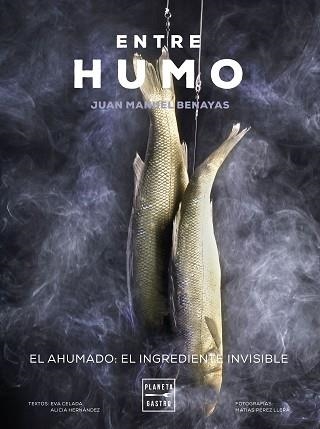 ENTRE HUMO | 9788408271048 | BENAYAS, JUAN MANUEL | Llibreria Aqualata | Comprar llibres en català i castellà online | Comprar llibres Igualada