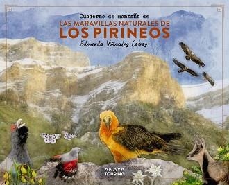 CUADERNO DE MONTAÑA DE LAS MARAVILLAS NATURALES DE LOS PIRINEOS | 9788491586036 | VIÑUALES COBOS, EDUARDO | Llibreria Aqualata | Comprar llibres en català i castellà online | Comprar llibres Igualada