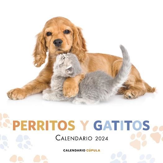 2024 CALENDARIO PERRITOS Y GATITOS  | 9788448038083 | AA. VV. | Llibreria Aqualata | Comprar libros en catalán y castellano online | Comprar libros Igualada